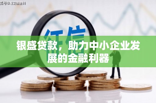 赤城银盛贷款，助力中小企业发展的金融利器