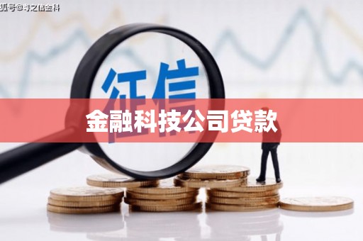 平果金融科技公司贷款
