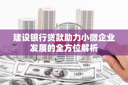 天长建设银行贷款助力小微企业发展的全方位解析