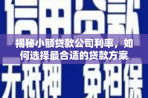 小港揭秘小额贷款公司利率，如何选择最合适的贷款方案