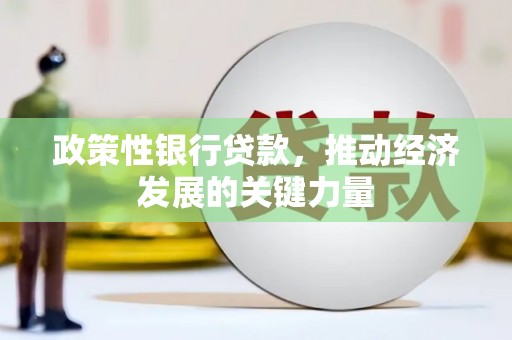 纳溪政策性银行贷款，推动经济发展的关键力量