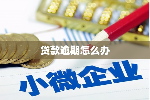 永福贷款逾期怎么办
