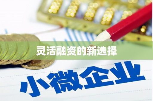 金东灵活融资的新选择