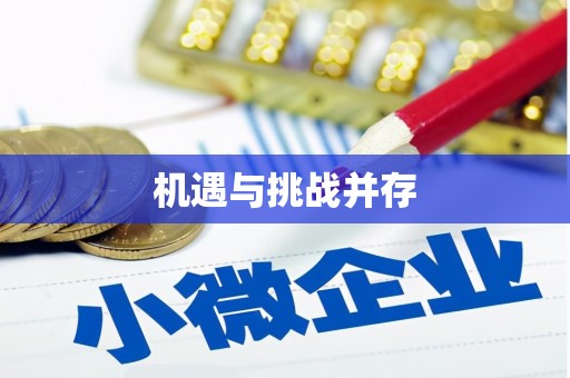 临湘机遇与挑战并存
