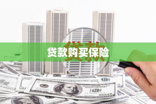 巴楚贷款购买保险