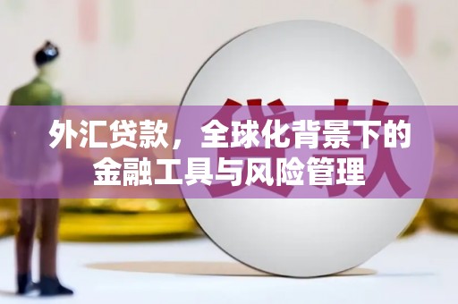 黔东南外汇贷款，全球化背景下的金融工具与风险管理