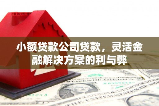宁海小额贷款公司贷款，灵活金融解决方案的利与弊