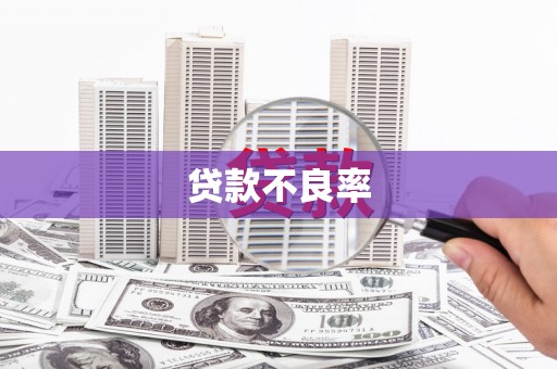 洛扎贷款不良率